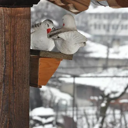 ゲストハウス Dyadovata Kashta *