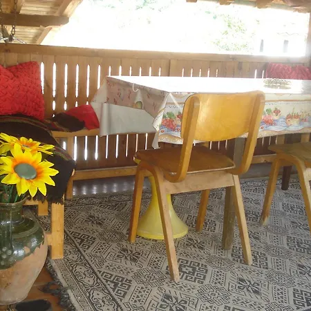 Gasthuis Dyadovata Kashta *