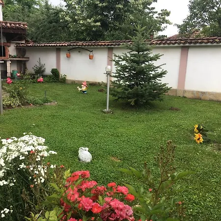 ゲストハウス Dyadovata Kashta *