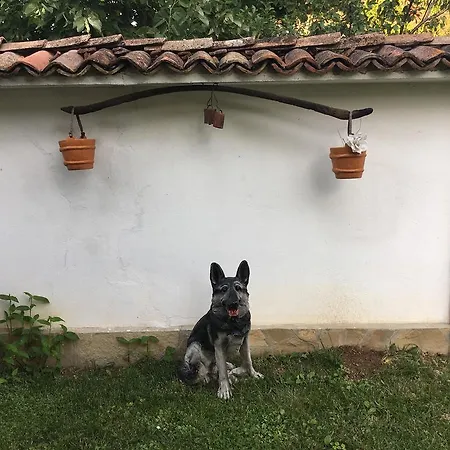 Dyadovata Kashta ゲストハウス エレナ