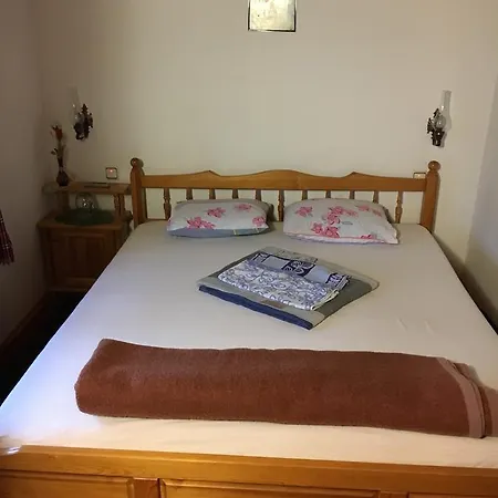 Gasthuis Dyadovata Kashta *