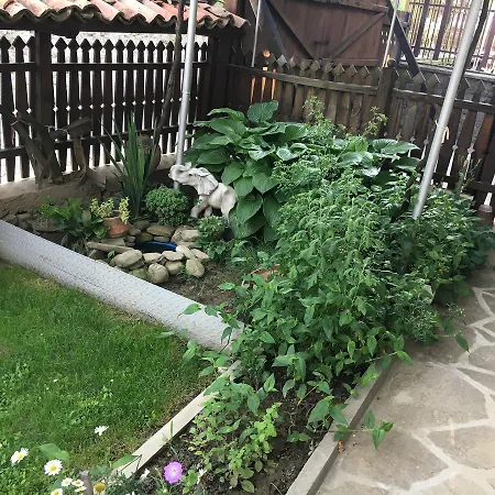 Dyadovata Kashta 招待所 埃伦娜
