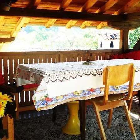 ゲストハウス Dyadovata Kashta *