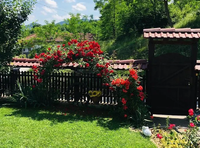 Dyadovata Kashta 招待所 埃伦娜