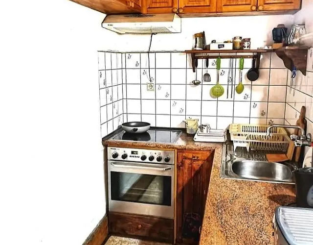 Dyadovata Kashta * 埃伦娜