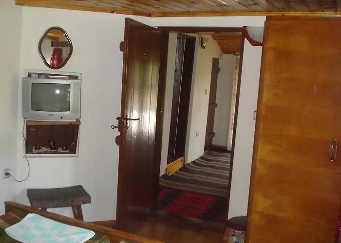 Dyadovata Kashta 埃伦娜