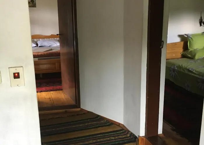 招待所 Dyadovata Kashta