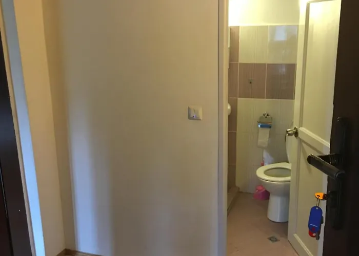 招待所 Dyadovata Kashta *