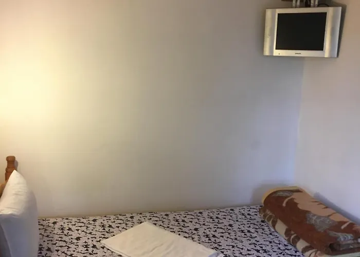 Dyadovata Kashta * 埃伦娜