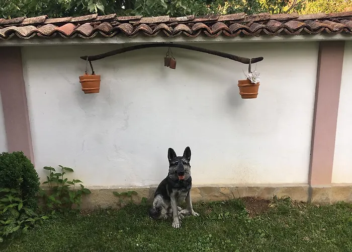 Dyadovata Kashta 招待所 埃伦娜