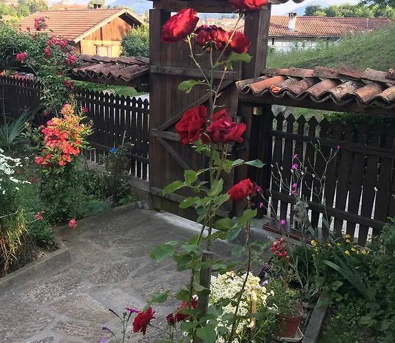 Dyadovata Kashta 招待所 埃伦娜