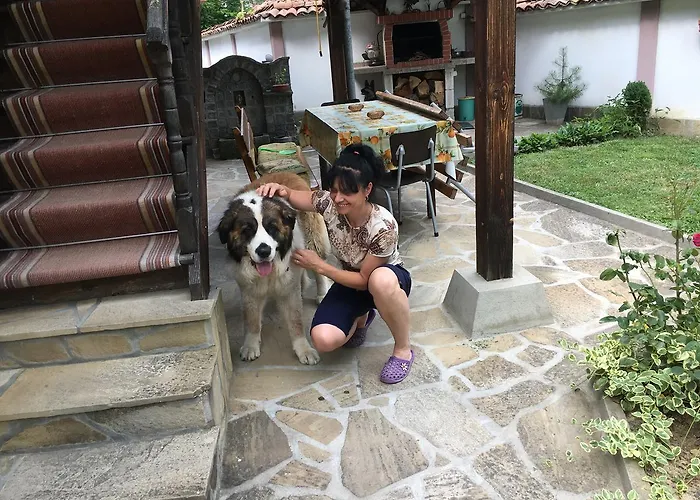 招待所 Dyadovata Kashta *