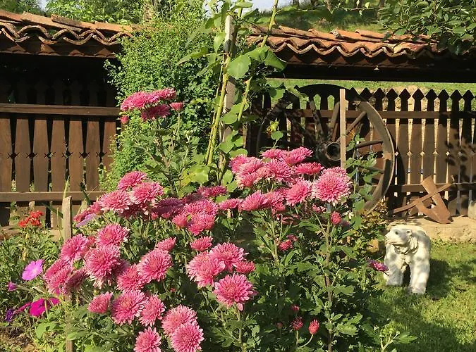 Dyadovata Kashta 招待所 *