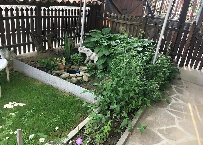 Dyadovata Kashta 招待所 埃伦娜