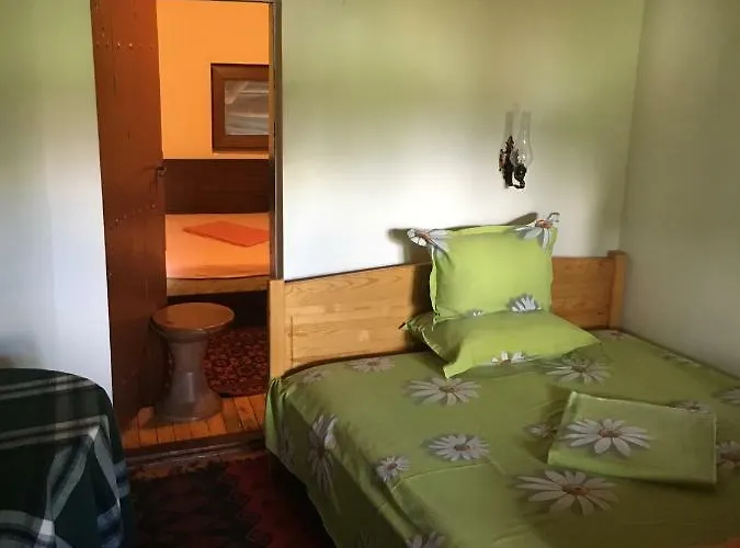 Dyadovata Kashta * 埃伦娜